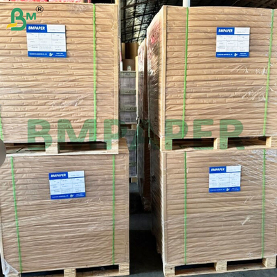 50 GSM গন্ধহীন উচ্চ পরিস্রাবণ দক্ষতা কফি ফিল্টার কাগজ রোলস
