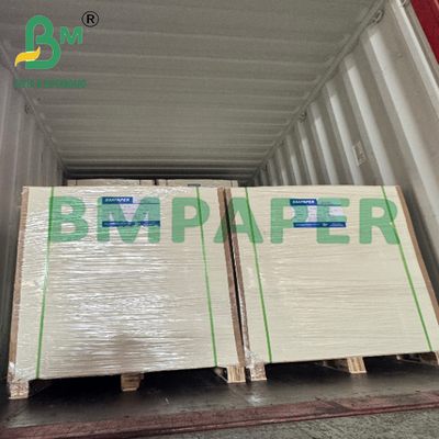210gsm প্রিন্টেবল পিএলএ লেপযুক্ত ক্রাফ্ট কাপস্টক কাগজ রোল চা জন্য