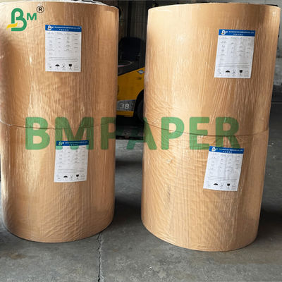 দ্বৈত - পার্শ্বযুক্ত সিলিকন পার্চমেন্ট পেপার উপাদান নন - স্টিক BBQ কাগজ