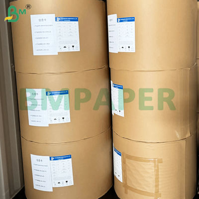 ভেতরে কালো এবং বাইরে হলুদ আলো-নিরোধক আমের ব্যাগ কাগজ