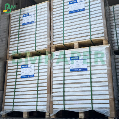 210gsm/230gsm 31*43 ইঞ্চি দু'পাশে লেপা গ্লসি আর্ট পেপার রোলস