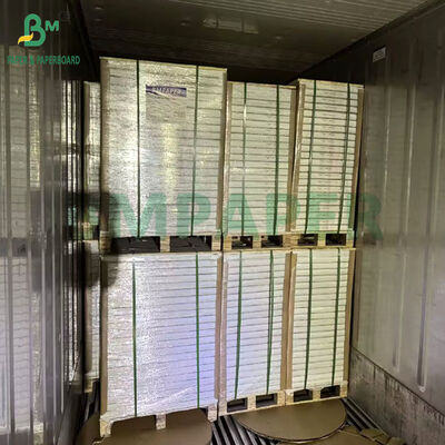 900 X 640MM 250Gr 300Gr একতরফা লেপ SBS কাগজ খাদ্য প্যাকেজিং জন্য