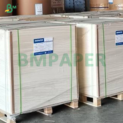 খাদ্য প্লেটের জন্য ৩১৫ গ্রাম + ১৫ গ্রাম কোটেড হোয়াইট ফুড গ্রেড পিইটি পেপারবোর্ড