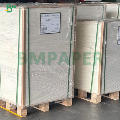 উচ্চ তেল প্রতিরোধী 20gsm 24gsm পিই লেপা গরম স্যুপ নুডল স্যুপ কাগজ