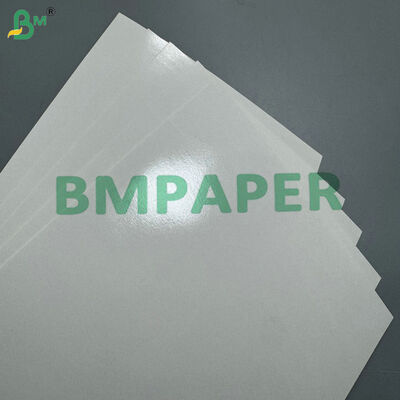 Waterproof & Heat Sealable 210gsm 280gsm Cupstock Paper with PE Coating for Hot/Cold Cups