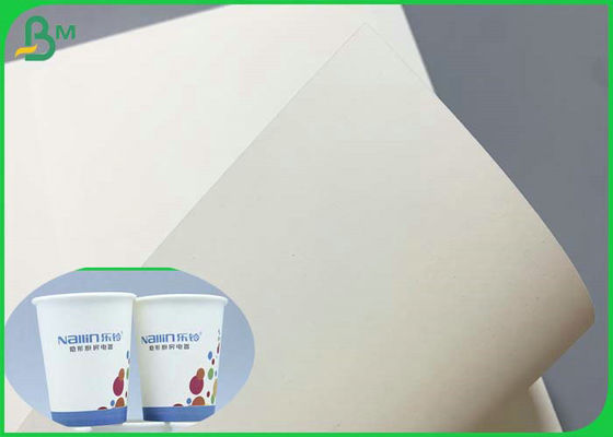 SGS সার্টিফিকেটেড 230g 260g PE Coated Cupstock Base Paper 850mm Roll