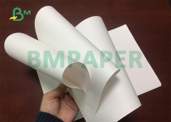 3&quot;কোর 100gsm 120gsm ফুডগ্রেড হোয়াইট পেপার তৈরি করতে ওয়াটার কনিক কাপ প্রস্থ 20.5&quot;