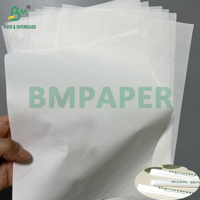 ভাল মুদ্রণযোগ্যতা 24grs 28grs স্বাস্থ্যকর স্ট্র আবরণ সাদা তাপ সীল কাগজ