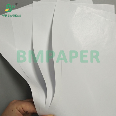 জন্মদিনের জন্য 60 গ্রাম সাদা মুদ্রণযোগ্য কাগজ কনফিট্টি জাম্বো রোলড উপহারের মোড়ক