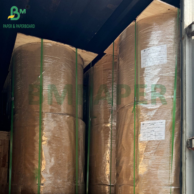 150gsm থেকে 320gsm C1S PE লেপা কাপ স্টক কাগজ বোর্ড জন্য কেএফসি বাটি 1020mm