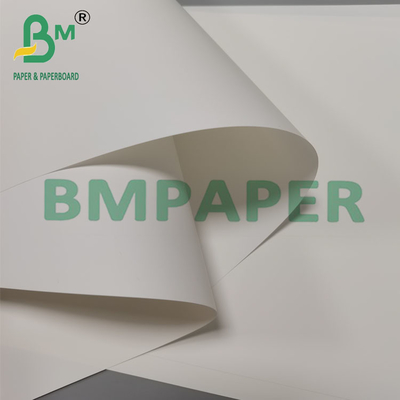 250um 260mm তাপ প্রতিরোধী সিন্থেটিক ব্রোশিওর কাগজ