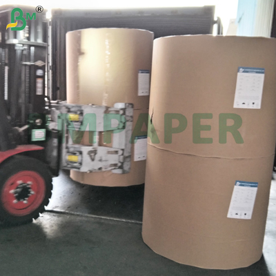 40gsm সিলিকন লেপ বায়ু ফ্রাইয়ার লাইনার জন্য ডাবল সাইড বেকিং পেপার
