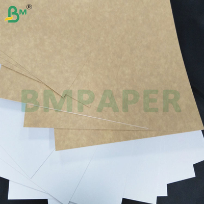 200-360 জিএসএম ফ্রিজ প্রতিরোধী একপাশে লেপযুক্ত ক্রাফট কাগজ শীট