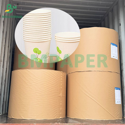 190gsm 320gsm+15gPE লেপযুক্ত ফুড গ্রেড ডিসপোজেবল হট কফি কাপের কাগজ