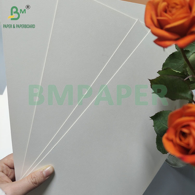 190gsm 320gsm+15gPE লেপযুক্ত ফুড গ্রেড ডিসপোজেবল হট কফি কাপের কাগজ
