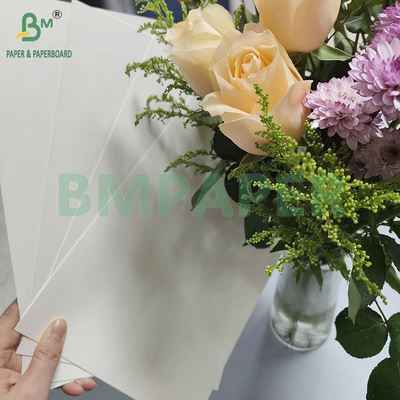190gsm 320gsm+15gPE লেপযুক্ত ফুড গ্রেড ডিসপোজেবল হট কফি কাপের কাগজ