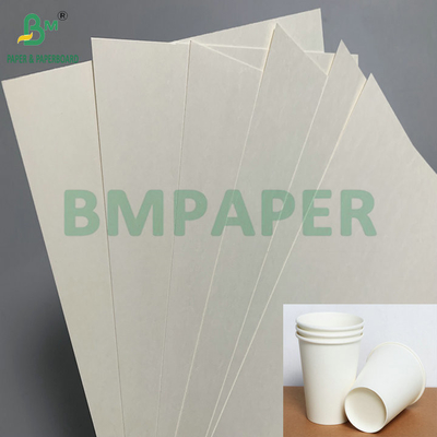 C1S PE পৃষ্ঠ 210gsm 230gsm কাপ পেপার জন্য পানীয় কাপ জাম্বো রোল