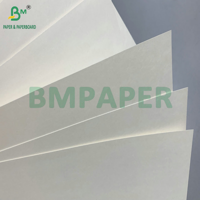 C1S PE পৃষ্ঠ 210gsm 230gsm কাপ পেপার জন্য পানীয় কাপ জাম্বো রোল