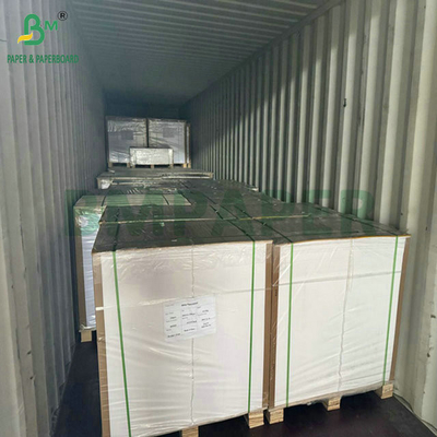 ফুড গ্রেড 250 গ্রাম 737 মিমি ওয়াটারপ্রুফ কাপস্টক 1 পিই কাপের জন্য কাগজ