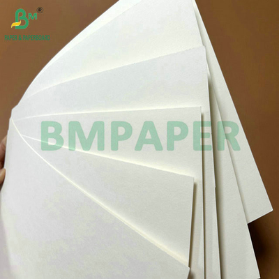 ফুড গ্রেড 250 গ্রাম 737 মিমি ওয়াটারপ্রুফ কাপস্টক 1 পিই কাপের জন্য কাগজ