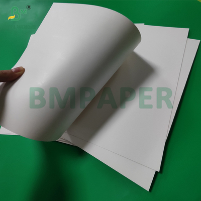 300 গ্রাম + 15 গ্রাম পিই লেপা কাগজ কাপ স্টক বোর্ড গরম পানীয় জন্য 820mm 880mm