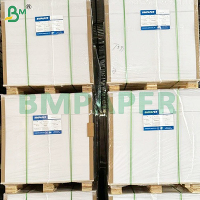 খাদ্য সুরক্ষা 200+10GSM খাদ্য পাত্রে ব্যবহারের জন্য পিইটি লেপযুক্ত কাগজের শীট