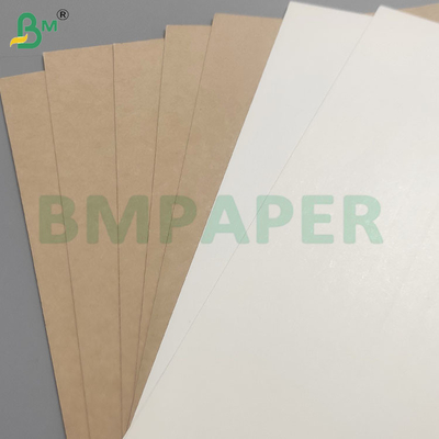 খাদ্য সুরক্ষা 200+10GSM খাদ্য পাত্রে ব্যবহারের জন্য পিইটি লেপযুক্ত কাগজের শীট