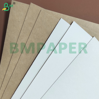 240gsm+10gsm একপাশে PE লেপযুক্ত ফুটো-প্রতিরোধী কাপ স্টক পেপার শীট