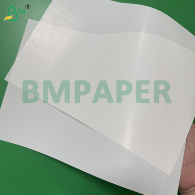 65 - 80gsm উচ্চ ভেজা শক্তি সাদা কাগজ পানীয় প্যাকেজিং কন্টেইনারের জন্য এক-পার্শ্বযুক্ত প্রলিপ্ত বিয়ার লেবেল কাগজ