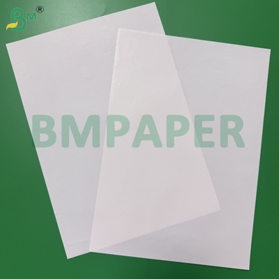 65 - 80gsm উচ্চ ভেজা শক্তি সাদা কাগজ পানীয় প্যাকেজিং কন্টেইনারের জন্য এক-পার্শ্বযুক্ত প্রলিপ্ত বিয়ার লেবেল কাগজ