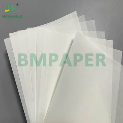 35gsm 40gsm গ্রীজপ্রুফ হিট রেজিস্টেন্স ইজি স্লিপ পেপার কাপকেক লাইনারের জন্য
