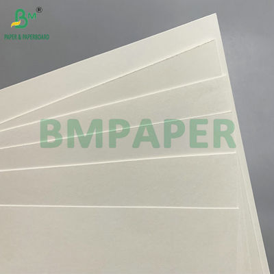 নিক্ষেপযোগ্য কাগজের বাটিগুলির জন্য ব্যবহৃত PE লেপা ১৯০ - ৩৫০ জিএসএম বাটি কাগজ