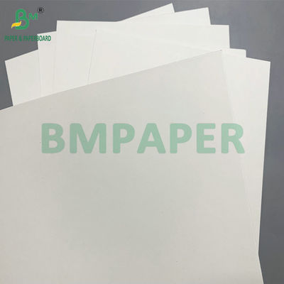 নিক্ষেপযোগ্য কাগজের বাটিগুলির জন্য ব্যবহৃত PE লেপা ১৯০ - ৩৫০ জিএসএম বাটি কাগজ