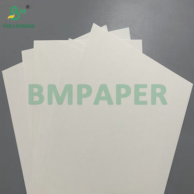 নিক্ষেপযোগ্য কাগজের বাটিগুলির জন্য ব্যবহৃত PE লেপা ১৯০ - ৩৫০ জিএসএম বাটি কাগজ
