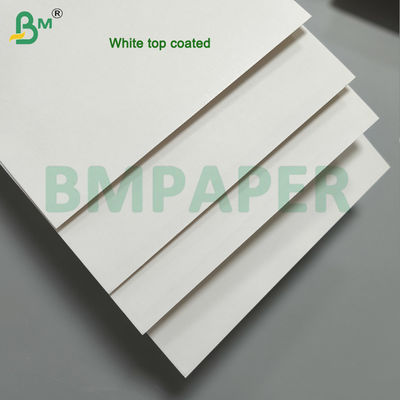 Food Grade Clay - Coated Kraft Back Paper Board 275gsm 325gsm