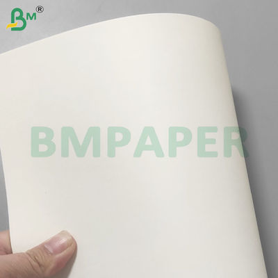 190+15Gsm PE Coated Heat Resistant Paper Sheets for Paper Cups