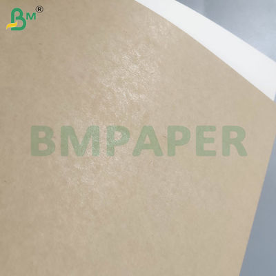 190+15Gsm PE Coated Heat Resistant Paper Sheets for Paper Cups