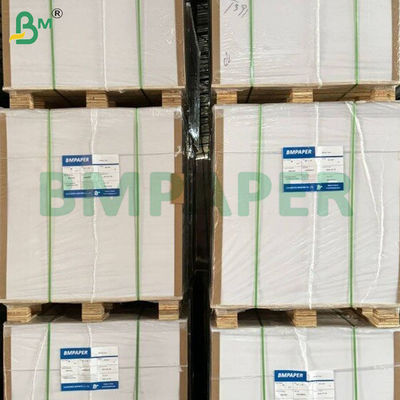 200gsm+10gsm তাপ প্রতিরোধী PE লেপা কাপ স্টক পেপার শীট
