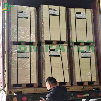 উচ্চ শোষণকারী পল্প বোর্ড 0.4-2.0 মিমি বিয়ার ম্যাট বোর্ডের জন্য প্রাকৃতিক সাদা