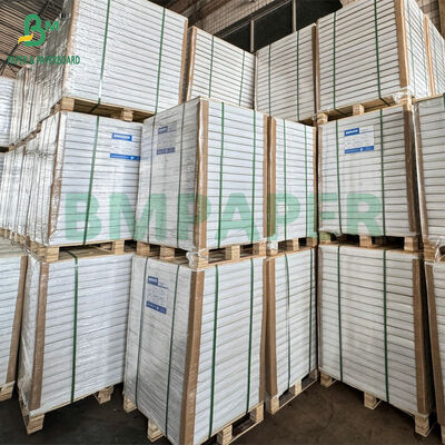 75 গ্রাম স্বতন্ত্র কার্বনহীন কাগজ A4/Letter আকারের - নীল বা কালো কপি