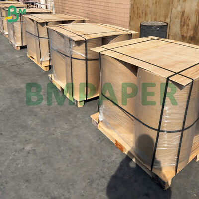 শীত সহনশীল থার্মাল পেপার, কোল্ড স্টোরেজ ও আউটডোরের জন্য ফ্রিজ প্রুফ