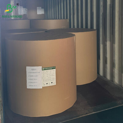 ফ্রিজড ফুড প্যাকেজিং বক্সের জন্য 18PT 24PT PE লেপযুক্ত CCNB কাগজ বোর্ড