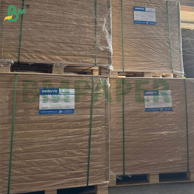 হোম এবং কমার্শিয়াল ব্রিউইংয়ের জন্য বড় আকারের এবং ডুয়াল গ্রামেজ বিকল্প সহ ফুড-গ্রেড সার্টিফাইড কফি ফিল্টার পেপার শিট