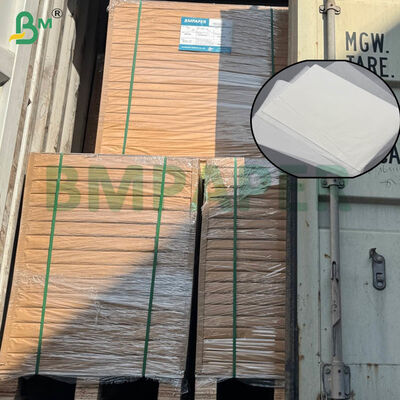 হোম এবং কমার্শিয়াল ব্রিউইংয়ের জন্য বড় আকারের এবং ডুয়াল গ্রামেজ বিকল্প সহ ফুড-গ্রেড সার্টিফাইড কফি ফিল্টার পেপার শিট