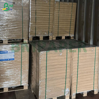 হোম এবং কমার্শিয়াল ব্রিউইংয়ের জন্য বড় আকারের এবং ডুয়াল গ্রামেজ বিকল্প সহ ফুড-গ্রেড সার্টিফাইড কফি ফিল্টার পেপার শিট