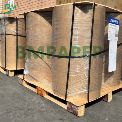 কেক প্যান লাইনার পার্চমেন্ট ২১জিএসএম সাদা এবং রঙিন আধা স্বচ্ছ