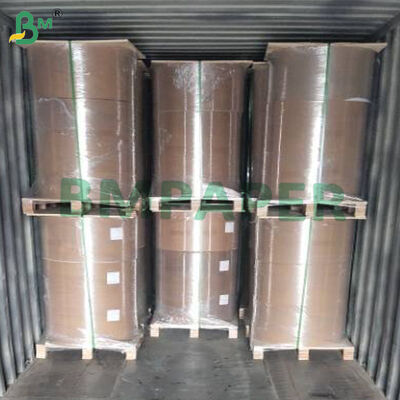 এয়ার ফ্রায়ার, স্টিমার, ওভেনের জন্য নন-স্টিক পার্চমেন্ট পেপার, সাদা ও প্রাকৃতিক