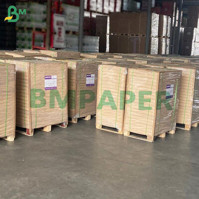 এয়ার ফ্রায়ার, স্টিমার, ওভেনের জন্য নন-স্টিক পার্চমেন্ট পেপার, সাদা ও প্রাকৃতিক