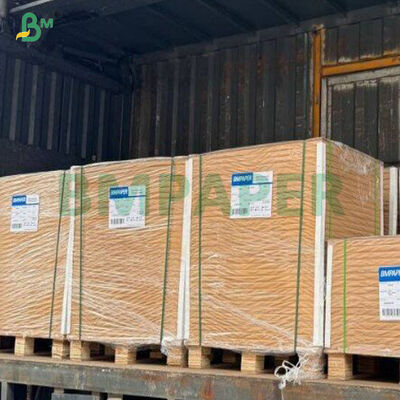 ৩৬০ গ্রাম ভালো দৃঢ়তা বাদামী সিকেবি ফুড পেপারবোর্ড শিট