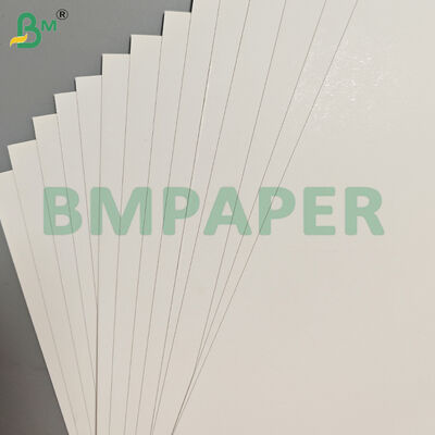 বিলাসবহুল বক্স তৈরির জন্য 300gsm SBS হোয়াইট কার্ডবোর্ড গ্রীস-প্রুফ